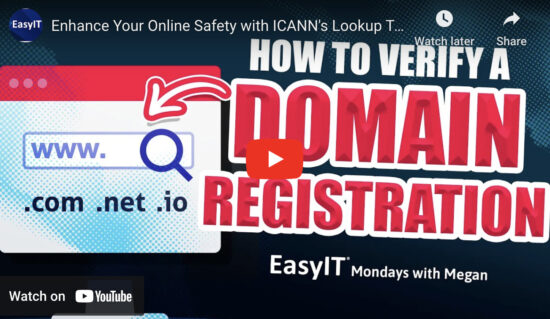 Using The ICANN Lookup Tool To Verify A Domain